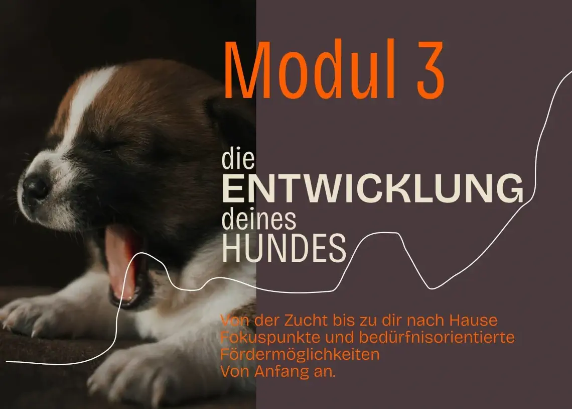 HZDUDW - Modul 3 - Die Entwicklung deines Welpen