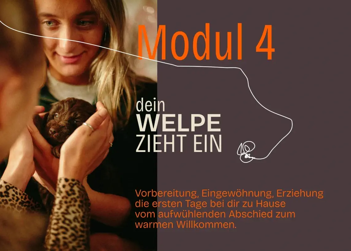 HZDUDW - Modul 4 - Dein Welpe zieht ein